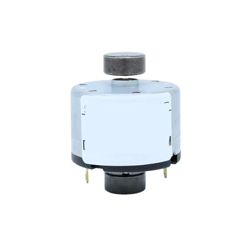 Moteur vibration RK-520 12V 6000 rpm à courant continu double tête