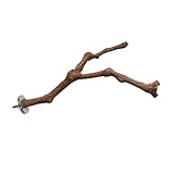 BESPORTBLE Holzspielzeug für Papagei Vogelkäfig Astspielzeug Kauspielzeug für Haustier Vogelerziehung Spielzeug für Vogelkäfige Zufälliger Stil