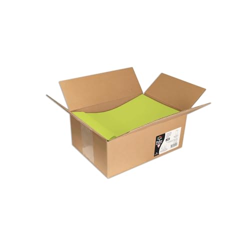Pochettes auto-adhésives Clairefontaine Pollen 22,9x32,4cm vert bourgeon 120g