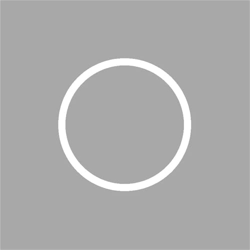 Interrupteur à bouton-poussoir LED blanc 19mm pour l'aménagement de votre van