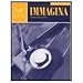 Immagina Student Activities Manual 1st (first) Edition by Cummings, Frenquellucci, Pastorino, Viazmenske published by Vista (2011)