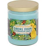 Smoke Odor Exterminator13oz Jar Candles Sparkling Juniper, (2) Set of Two Candles.