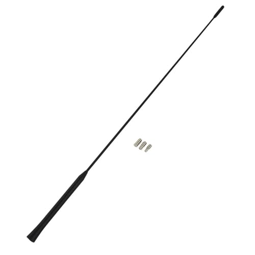 Antenne radio voiture 12V 75 ohms compatible Ford Focus C-Max