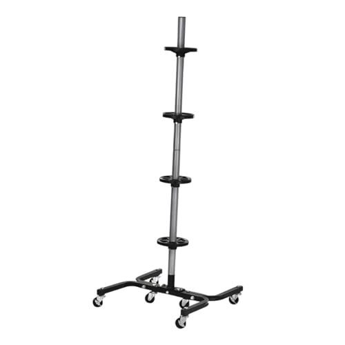 Fiocias \^CbN 4փLAANZT[t K[WI[KiCU[