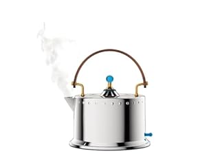 Bodum 34oz Ottoni Electric Water Kettle, Polished Stainless Steel