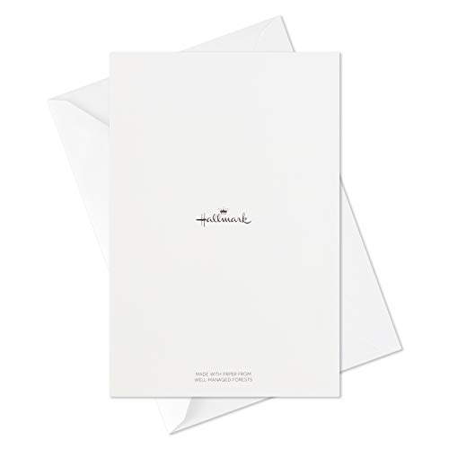 Hallmark Cartões de Natal em caixa, gatos e cães natalinos (6 desenhos, 24 cartões com envelopes)