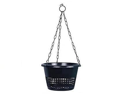 Orchid pots 8 inch Hanging with Metal Chain (Black) - Pack of 1 (B09PH48JS7) Amazon Price History, Amazon Price Tracker