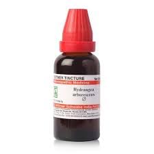 Dr Willmar Schwabe India Hydrangea Arborescens Q 30ML (B0CRZ67BN8) Amazon Price History, Amazon Price Tracker