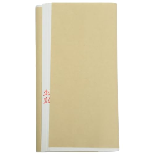 TOYANDONA Papel Xuan para Escribir y Pintar 100 Hojas de Papel de Arroz Natural 45x69 Cm para Caligrafía Pintura Tradicional y Manualidades Artísticas