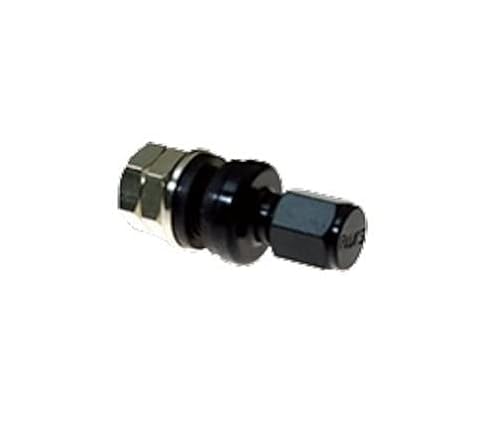 RAYS GAou i:No.053 CTChou RAYS NEWS BK 4Zbg Ki CYzC[p