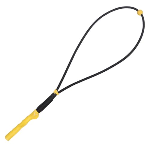 StObvg[i[ XCOg[jO[vGCh EKS҃AVX^g ObvGCh StXCORN^[