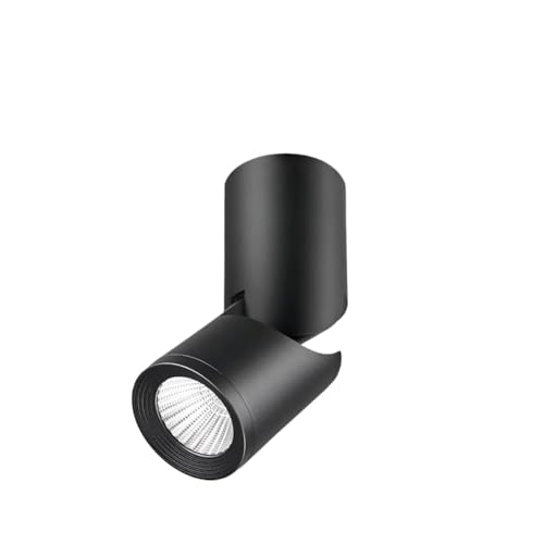 TCHAUSGZOZ Luz de Lectura Alto CRI for Dormitorio, Techo Moderna y, luz LED Ajustable 360 ​​​​Grados, Foco Blanca for Sala Estar montado en Superficie Cob(Dark,10w)