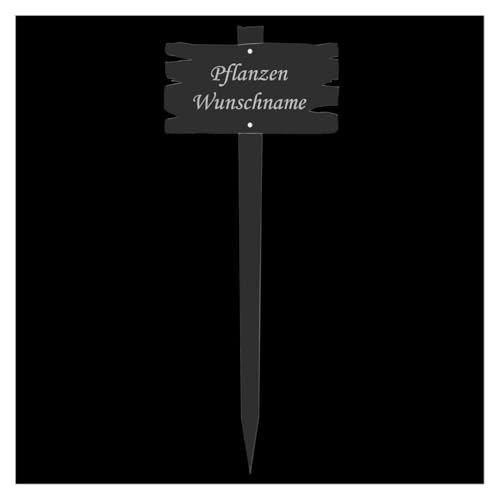 Bütic GmbH Plaque en verre acrylique pour plantes - Aspect planche en bois - Incolore - Nom de la plante : Glaïeul