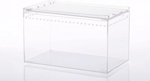 Zxylerv^C{bNX ঒ގP[X AN a  ybg{bNX T\ N JG J QbR[ wr ^঒ޗp ʋC h XCh