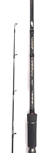 tailwalk Crazee! Power Rockfish S862H, ingénierie de précision japonaise