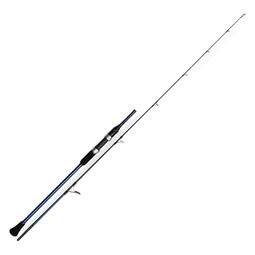 Canne à pêche Spinning et Casting Toray Slow Jigging, Compatible avec NOEBY Voyager 1.83-1.96m, M ML, 20kg, Glisser 30-350g(VSJ602ML-C)
