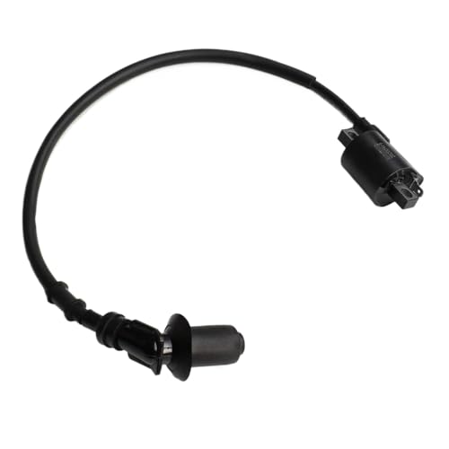 Bobine d'allumage moteur 250 cm3 pour étincelle stable de Quad