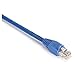 Black Box Corporation 50FT Blue CAT5E 350MHZ Patch Cable UTP cm SNAGLESS