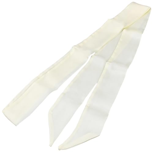 GORGECRAFT 2pz Sciarpa Sottile Tinta Unita Pura Fazzoletto da Collo Lungo Beige Cravatta in Raso Cintura Fascia per Capelli Nastro Fascia Cravatta Sciarpa Capelli Camicie Jeans Abiti Borsa Manico