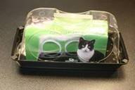 felines only cat dish