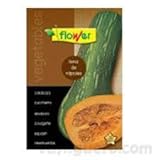 SEMILLAS CALABAZA LLENA DE NAPOLES