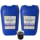 Liquid Seaweed Fertiliser – Professional Strength Concentrated Plant Feed (1:200) – Organic Feed for Gardens (60L)