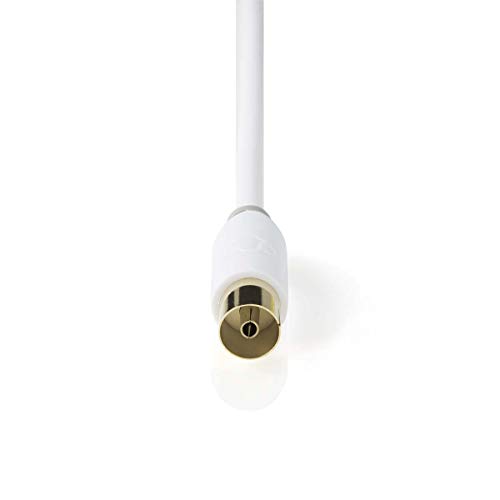 Nedis Câble coaxial 100 DB IEC (coaxial) mâle à Angul