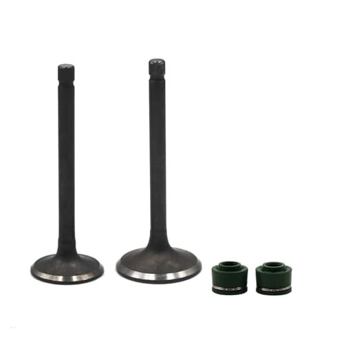 Vástago de admisión de 1/2 de alta resistencia térmica para motor YMH XV125 y XC125