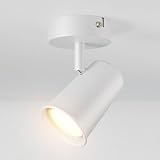 Orientable à 90 degrés et pivotant à 350 degrés : La source lumineuse du Riga est entièrement orientable. Tu peux ainsi créer de beaux accents lumineux dans ton appartement avec le spot de plafond Riga. Par exemple, pour mettre en valeur une image, une plante ou un morceau de mur. Le spot Riga est aussi souvent utilisé comme spot mural au-dessus d'un tableau ou d'une plante (voir photos).