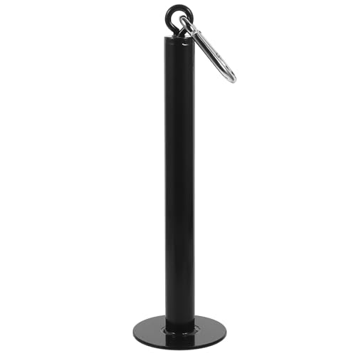 Barre Porte-Disque de Musculation Fixation Plaque de Poids pour Rack Haltères