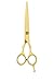 aashta forbici parrucchiere da taglio di capelli del barbiere 7' colore oro immagine