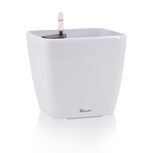 Dexceder 9x8 Self Watering Planter (White High Gloss)