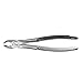 English Extracting Forceps, Upper Central & Canines No. 3