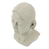 Petit buste en plâtre : ce buste soigneusement poli est agréable au toucher et ne vous blessera pas la main. décoration pour étagère