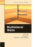 Buy Multilateral Wells — BookShops.in