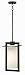 Hinkley 2922BZ Colfax - 18.8 Inch One Light Outdoor Pendant, Bronze Finish