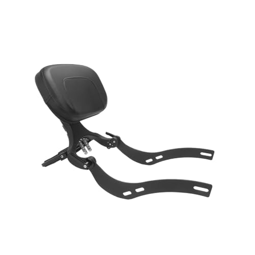Dossier passager moto éliminant la fatigue et le manque de bagages sur Scout Rogue 2018