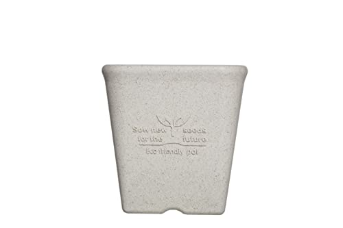 EF](Welzo) ݂XNGA|bg 12^ zCg y݂51%pz^zyvX`bN팸zyR݂ƂĎ̂Ăz