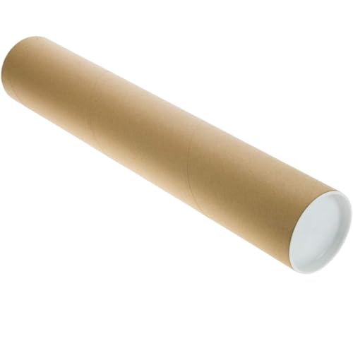 Paper Tube and Plastic Cap Mailing Tube (10 Pack)