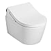 Toto CWT4474047CMFG#MS RP WALL HUNG TOILET RX WASHLET WT173M IWT YT930#MS PUSHPLATE