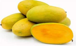 Green Paradise® Exclusive Dusheri Mango Live Plant (B07J6R9FLB) Amazon Price History, Amazon Price Tracker