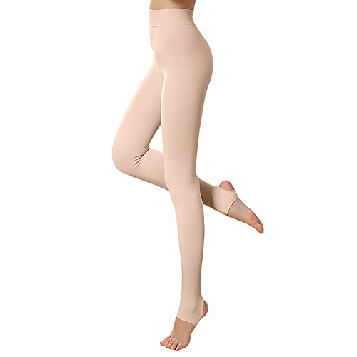 [f] Nу^Cc MX Ȃ f 220fj[  MH ێH ӂӂ̎ K ₷ ^Cc gJ (x[WgJ)