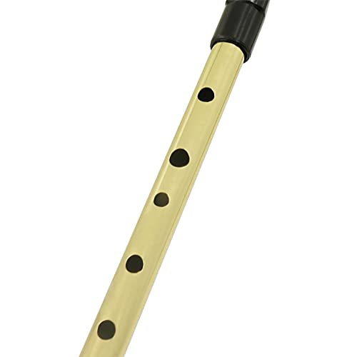Flöte Irish Whistle Flöte D Key 6 Loch Klarinette Flöte Tin Penny Whistle Musikinstrument aus vernickeltem Messing
