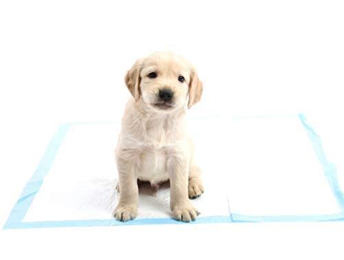 Tapis hygiéniques à absorption standard avec surface sèche