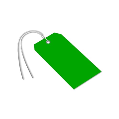Etiquetas de plástico verdes para marcar maquinaria pesada y cableados con ojal, 25 unidades