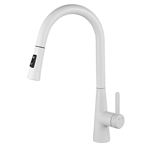 Pomme de douche de cuisine à 2 fonctions avec mitigeur extractible à arc élevé