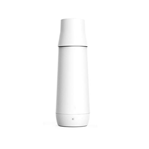 Hervidor eléctrico portátil de acero inoxidable 300ml