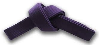 XIOMI Purple Martial Arts Karate Tae Kwon Do Judo Belts -260 cm Long 1
