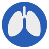 Tabellarische Messwertdarstellung