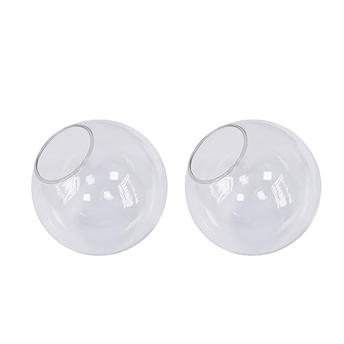 Koko&Yukina 2-Pack 6 Inch Clear Glass Globes for Fixtures Light Globes for Light Fixtures Replacement Clear Glass Lights Shade Replacement Shades Fixtures Chandelier Lamp Shade